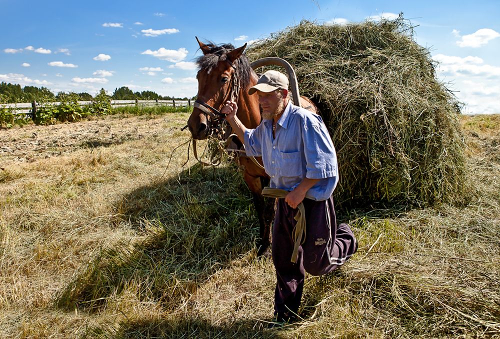Photograph by Белова Лариса