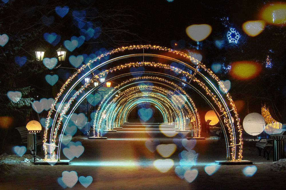 Фотография автора Анна Широкова