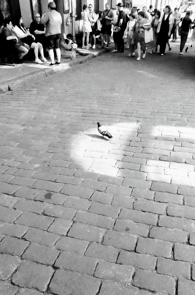 Photograph by Irina Mihailovskaya