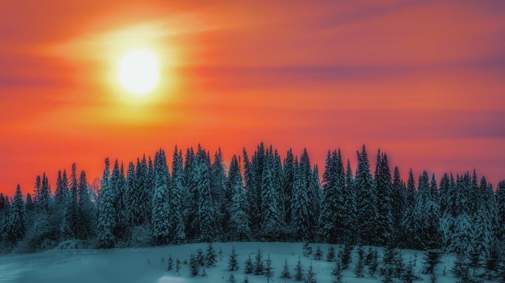 Фотография автора Виктор Холудеев