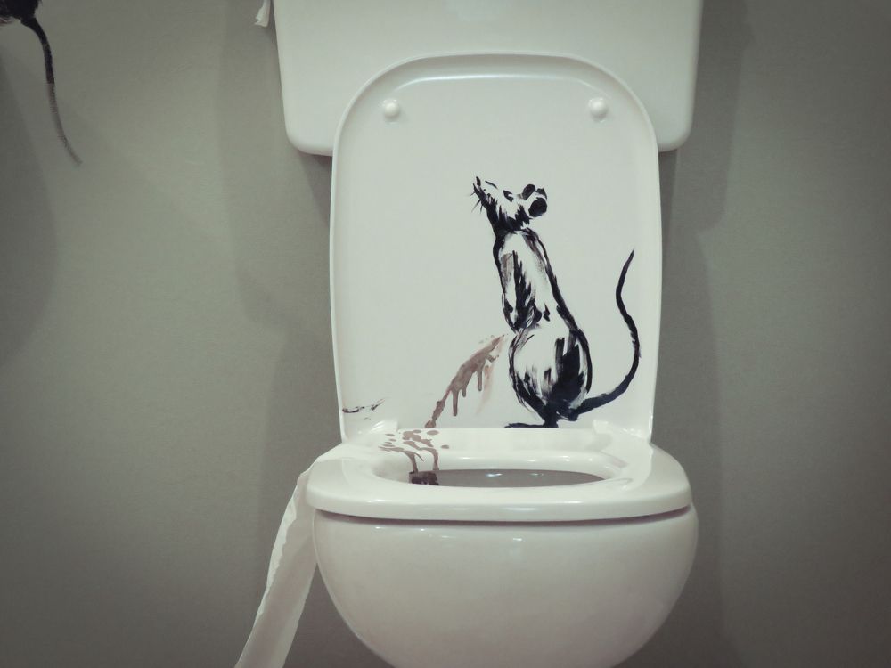 Photograph by Александр Бычков