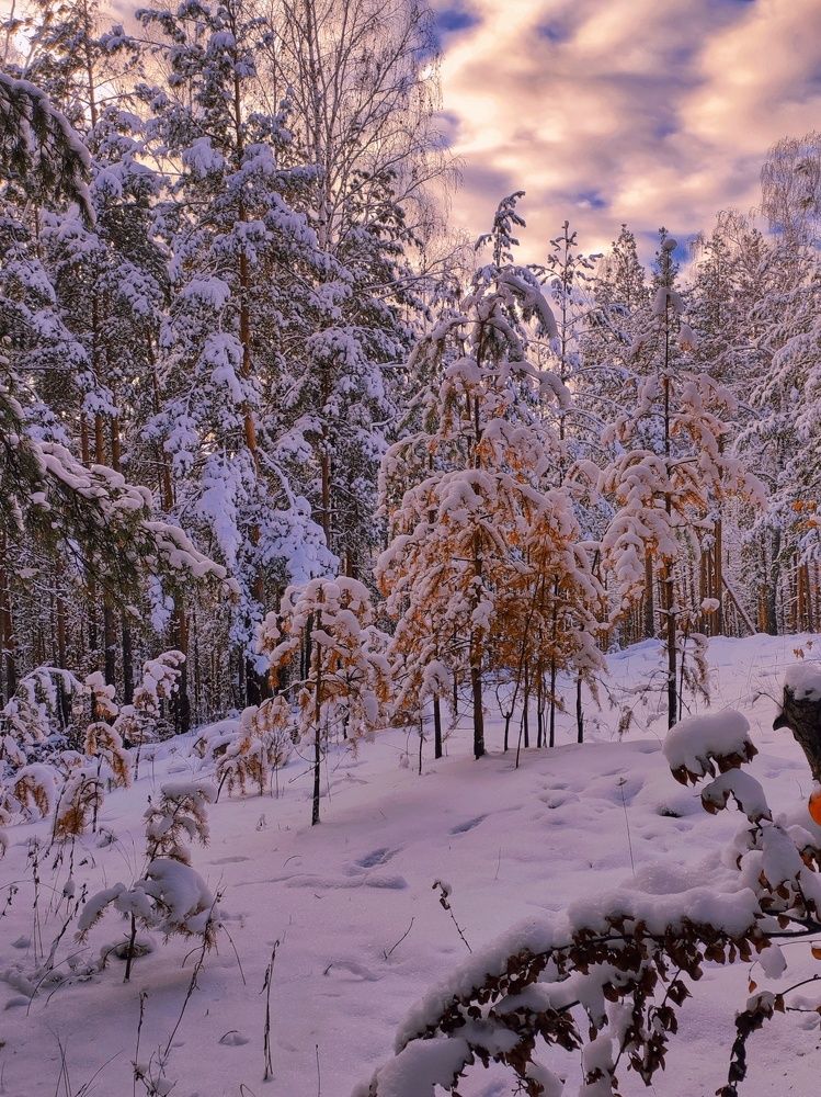 Photograph by Anastasia Malukova