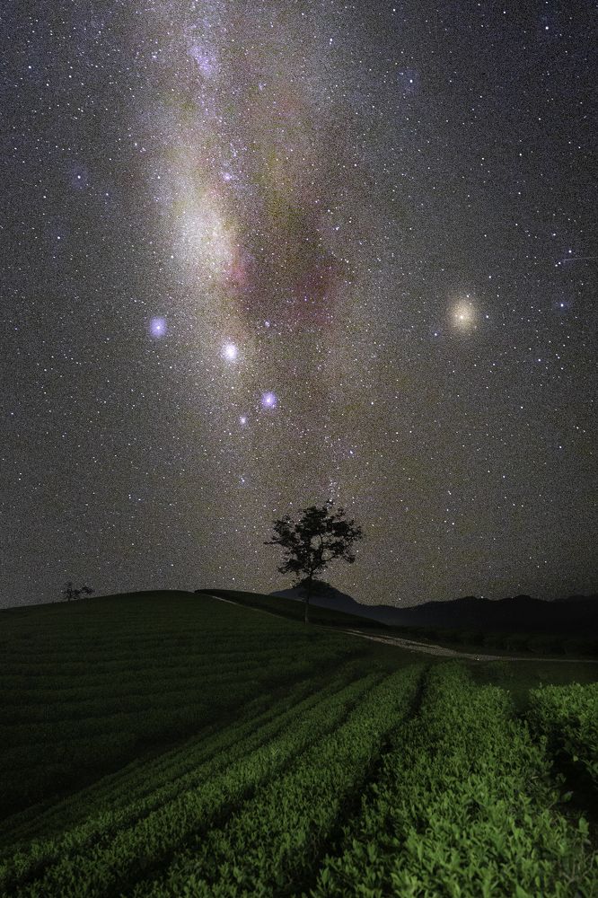 Photograph by Le Hoang Vu