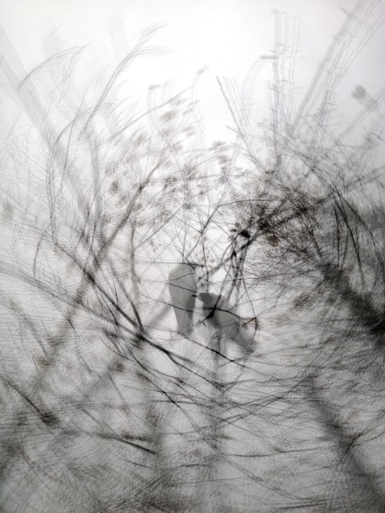 Photograph by Светлана Веселовская