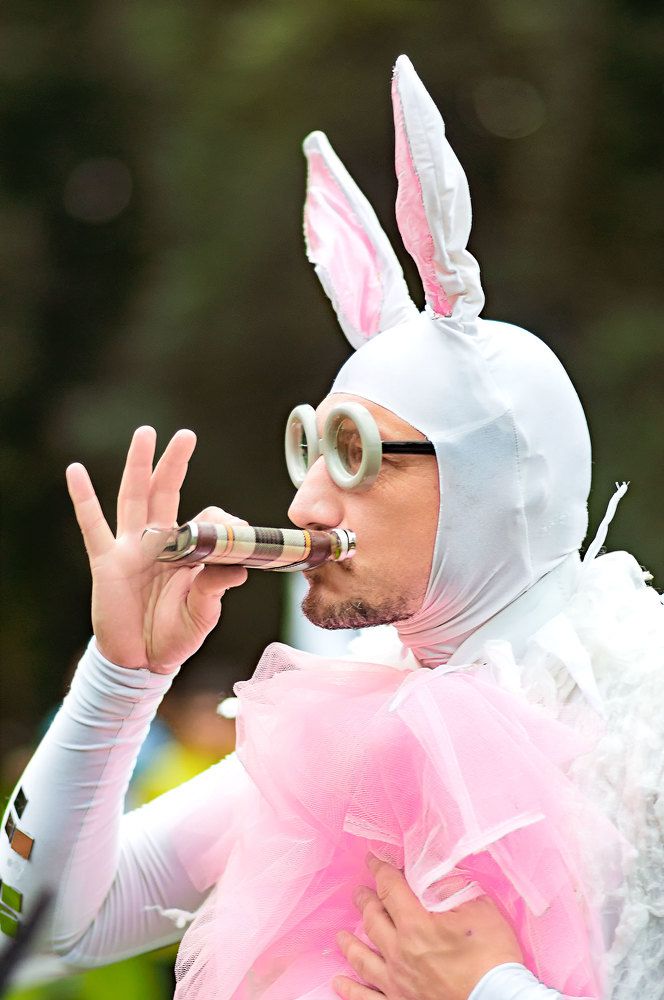 Фотография автора Николай Нестеренко