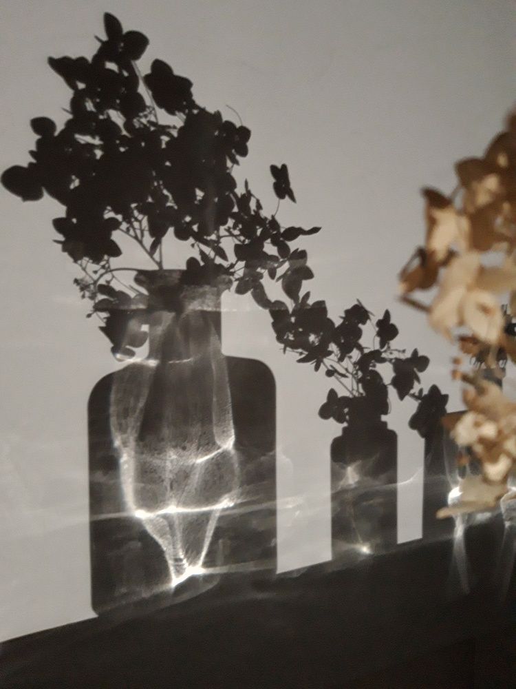 Photograph by Анжелика Медведева