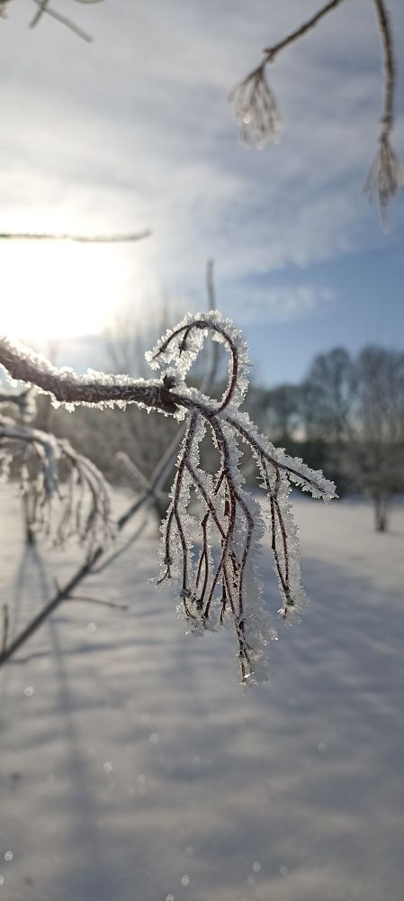 Photograph by Валентина Хмелевская