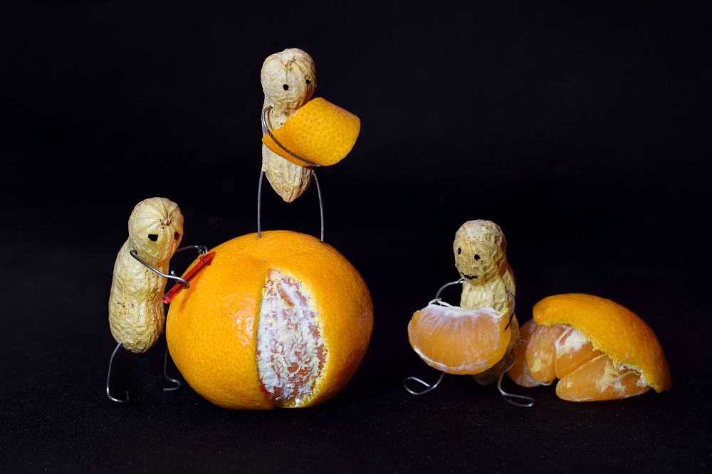 Любители мандаринок