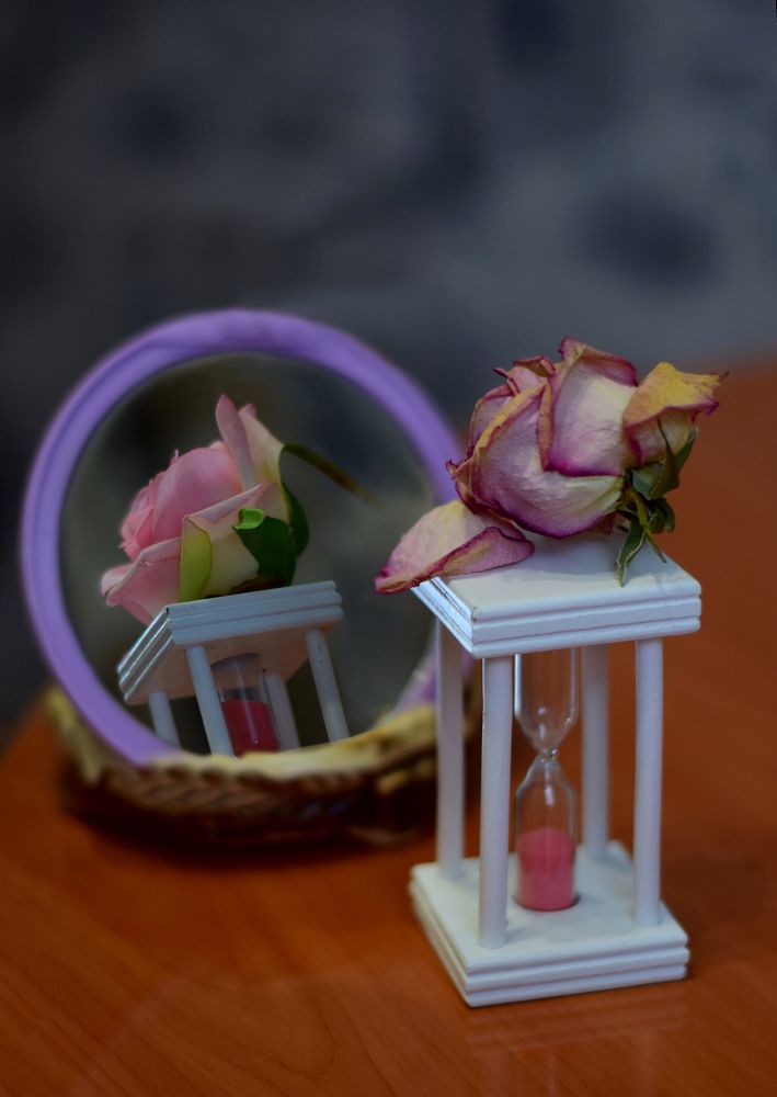 Фотография автора Оксана Льдинина