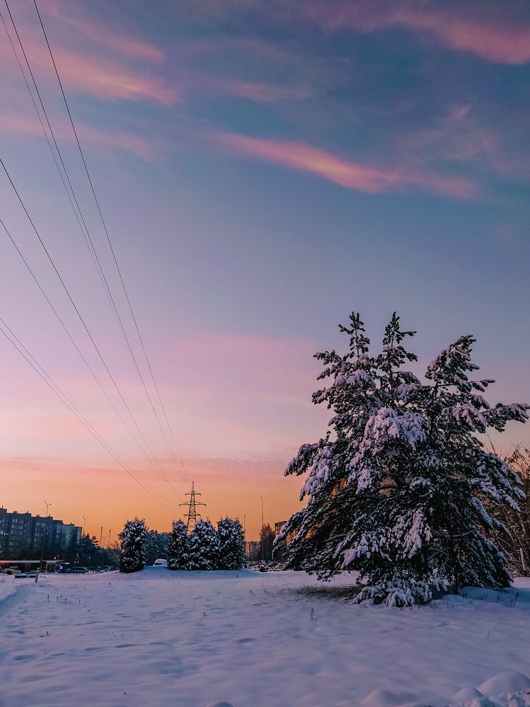 Photograph by Олеся Бронзова