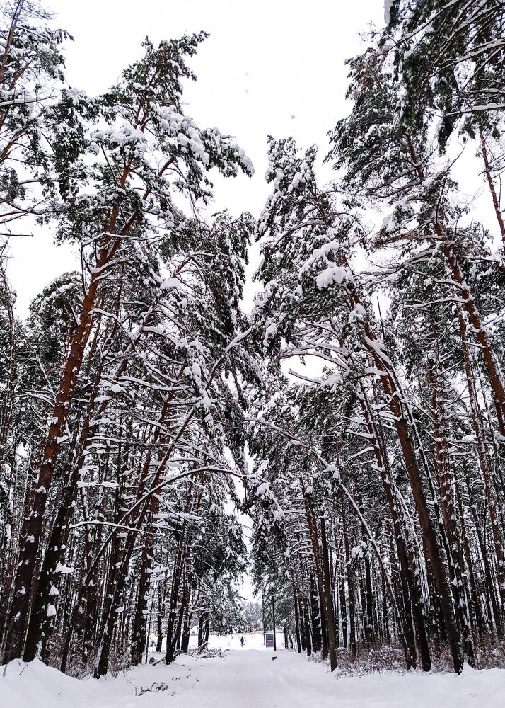 Photograph by Олеся Бронзова