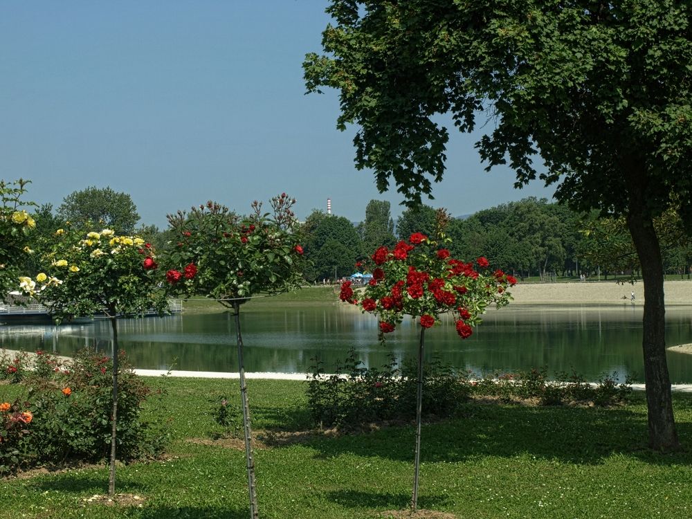 Photograph by Ivana Kolenc