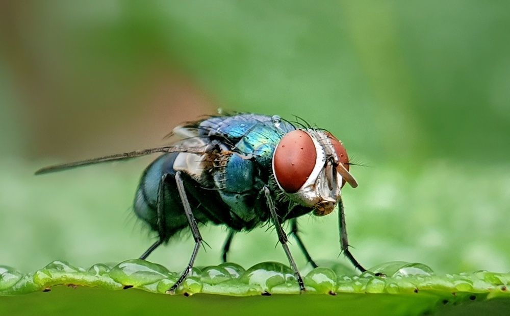 Photograph by NGUYEN LIEN