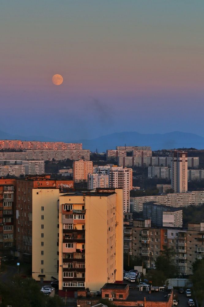 Photograph by Екатерина Цвиркунова