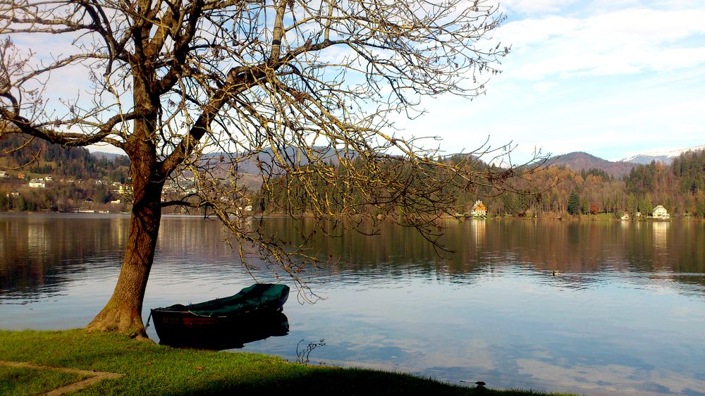 Photograph by Marina Razheva