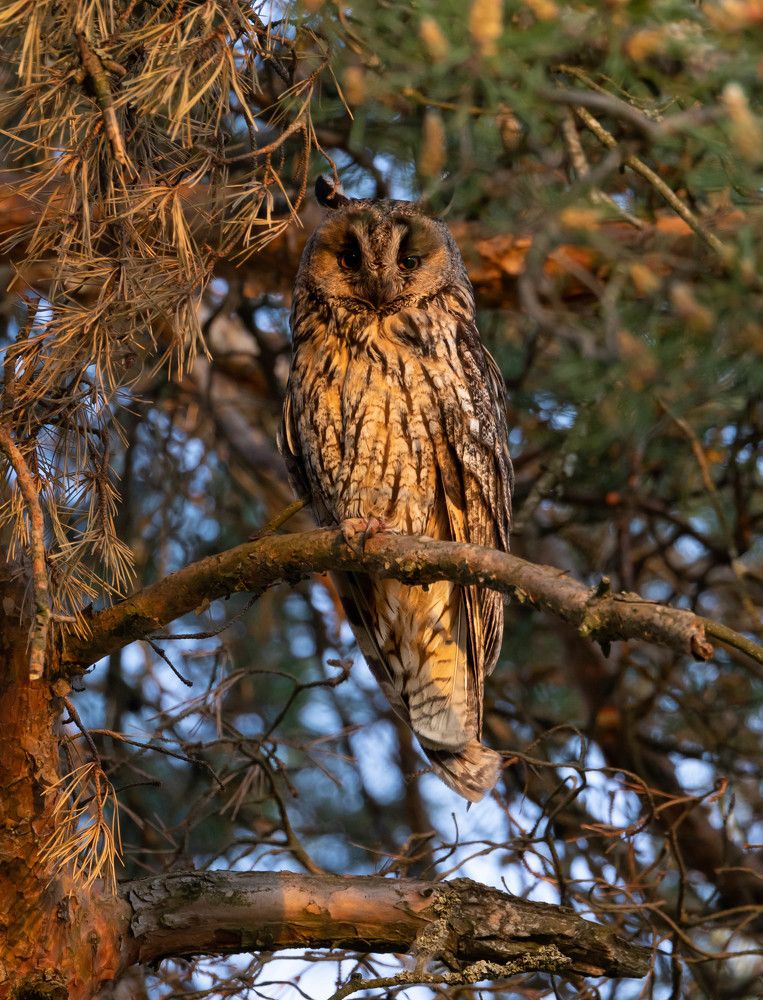 Photograph by Алексей Солоухин