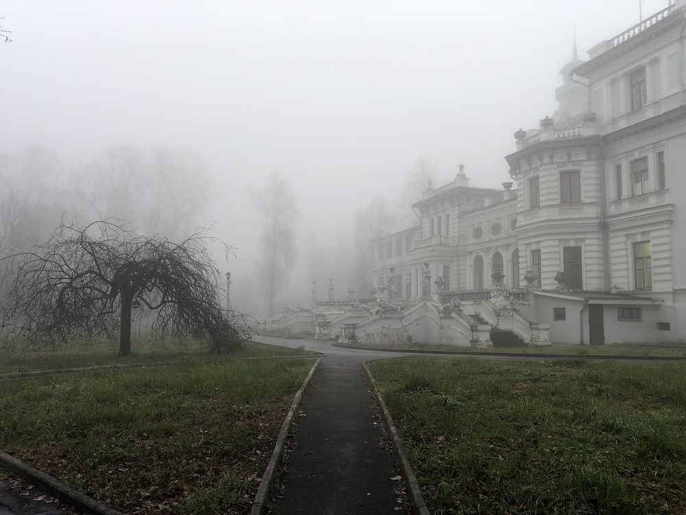 Утро туманное