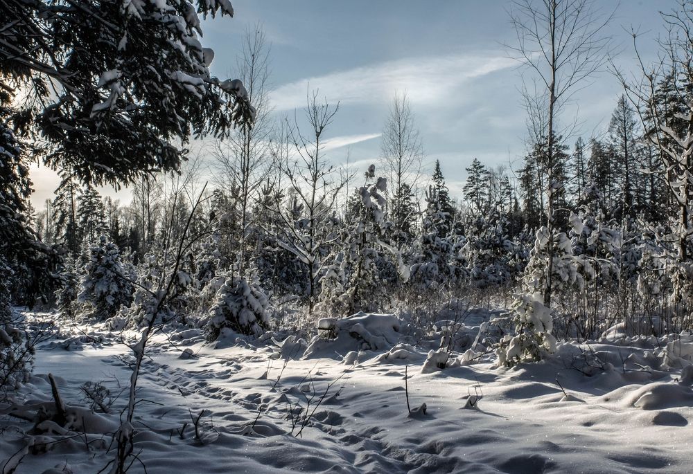 Photograph by Владимир Орлов