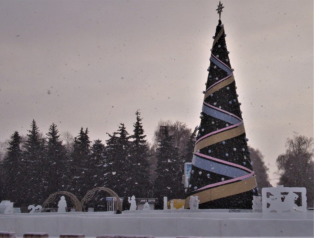 В зимнем парке.