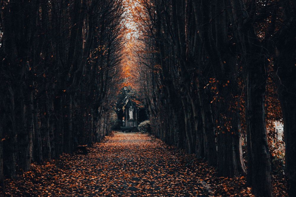 Photograph by Alina Berns