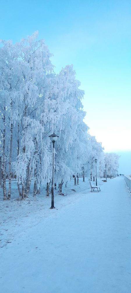 Photograph by Светлана Гмырина