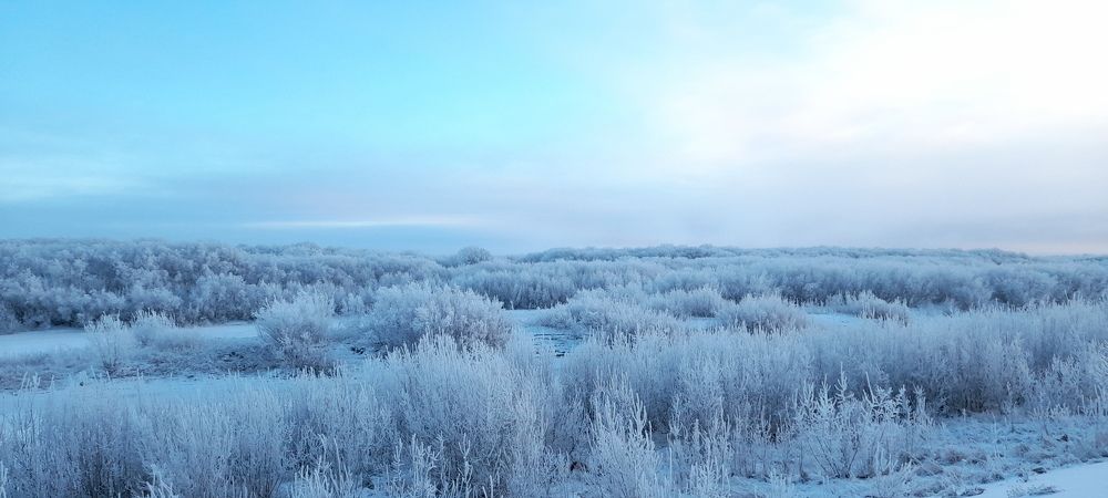 Photograph by Светлана Гмырина