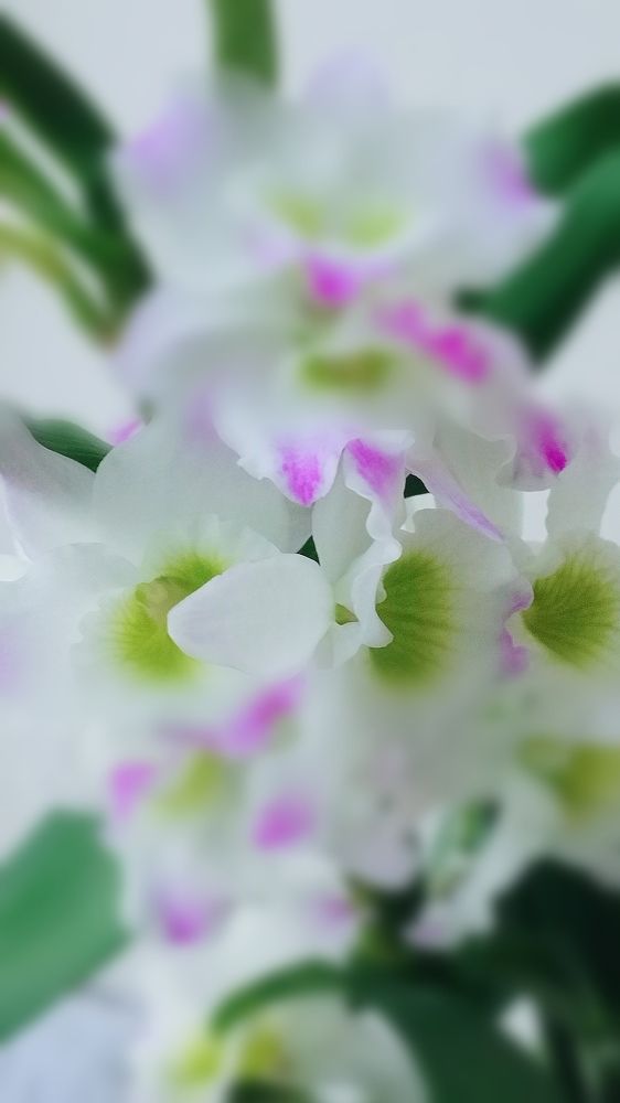 Photograph by Ирина Корнева