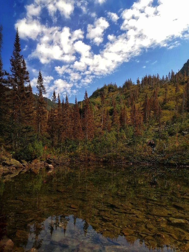 Photograph by Светлана Шелухеева