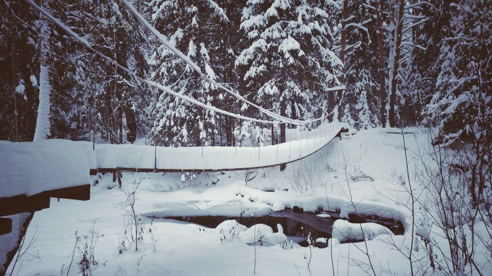 Photograph by Наталья Калюнова