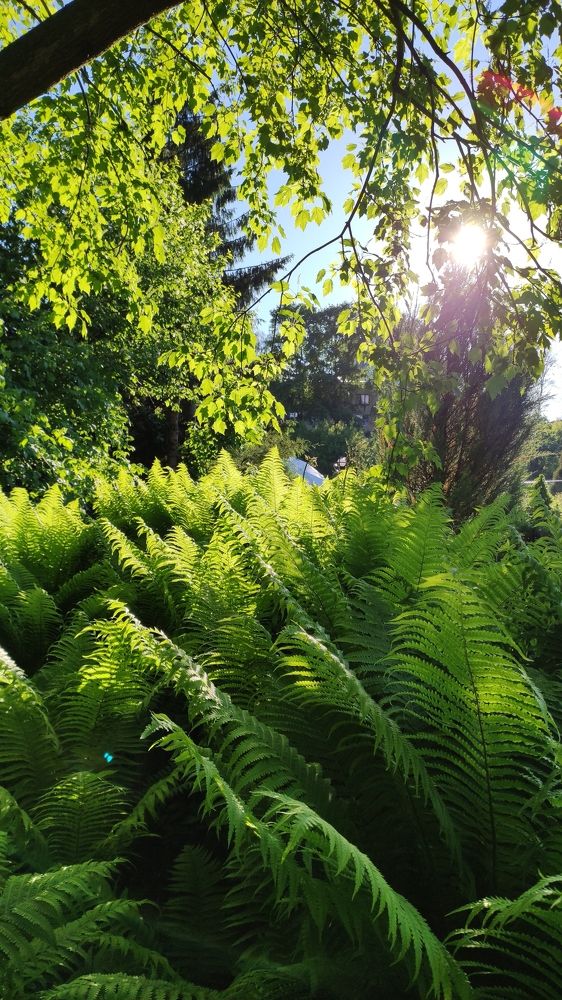 Photograph by Наталья Калюнова