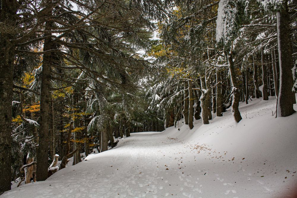 Photograph by Ayoub Kebbour