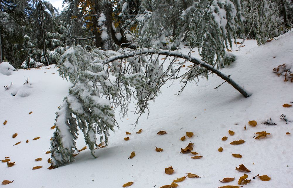 Photograph by Ayoub Kebbour