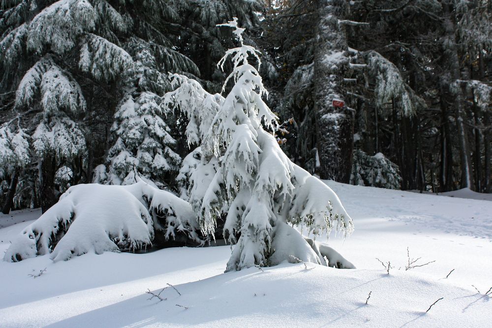 Photograph by Ayoub Kebbour