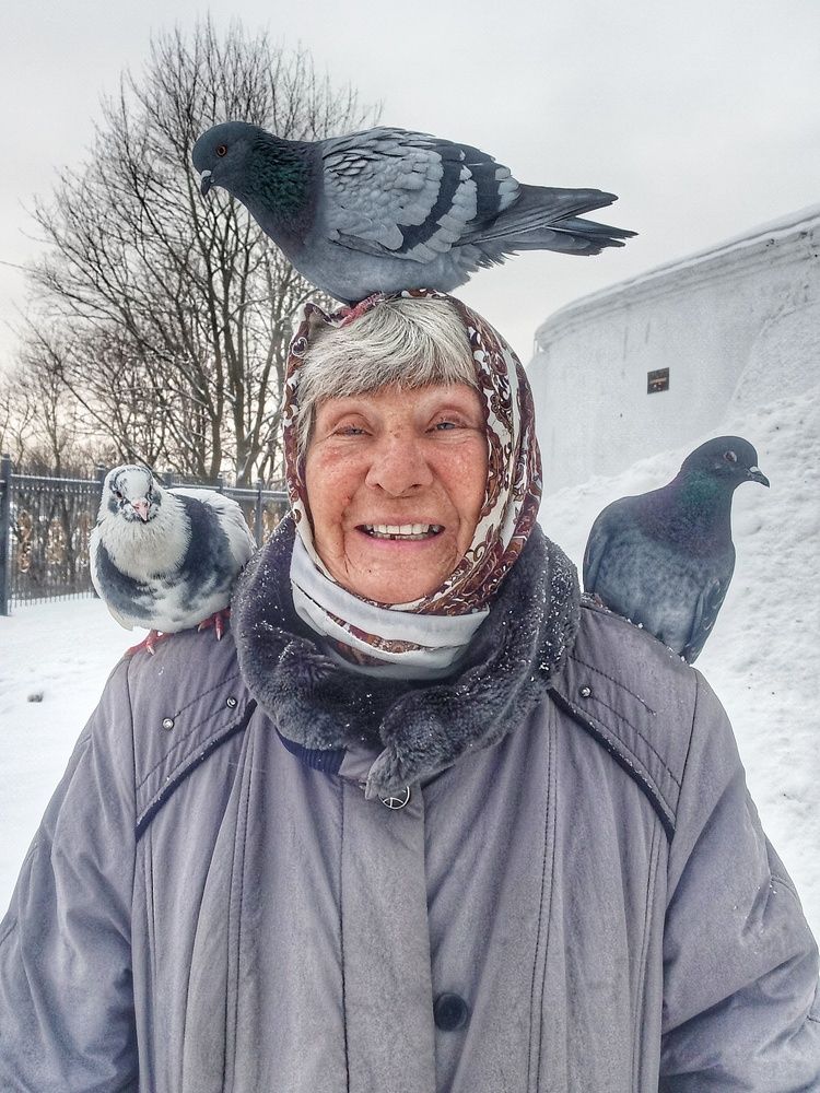 Любовь и голуби