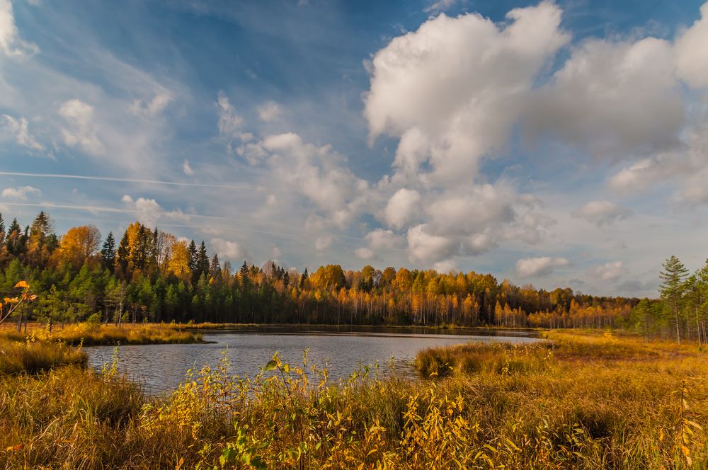 Фотография автора Олег Анатольевич Загорулько