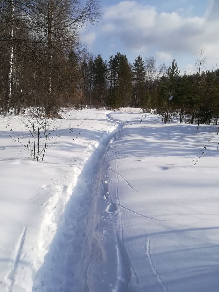 Фотография автора Юлия Лубкина