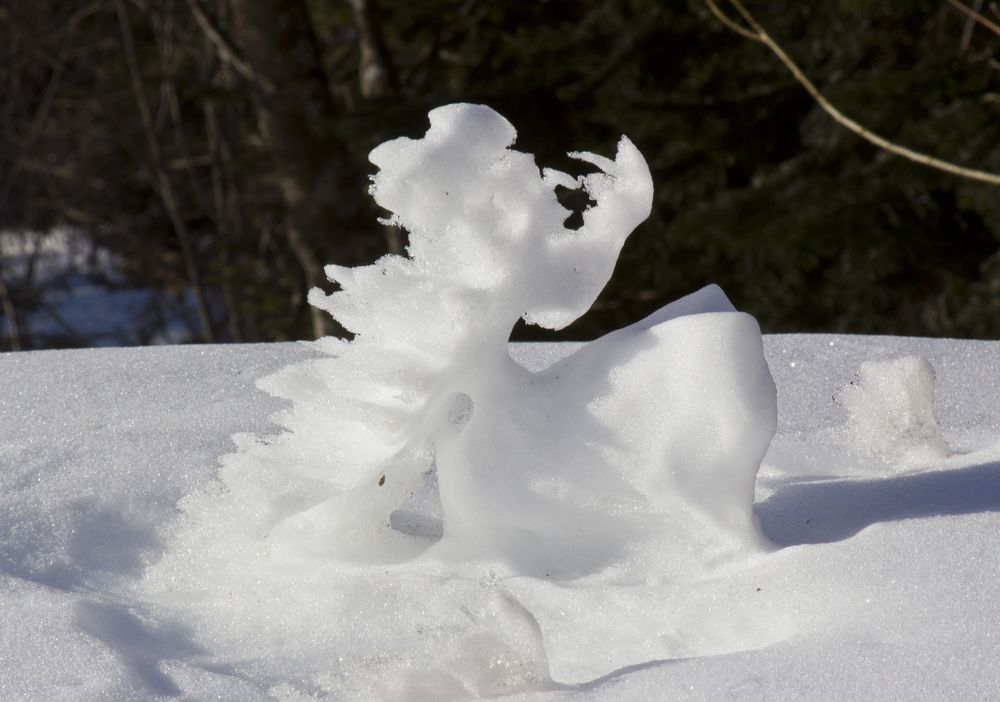 Фотография автора Эрнст Антонов