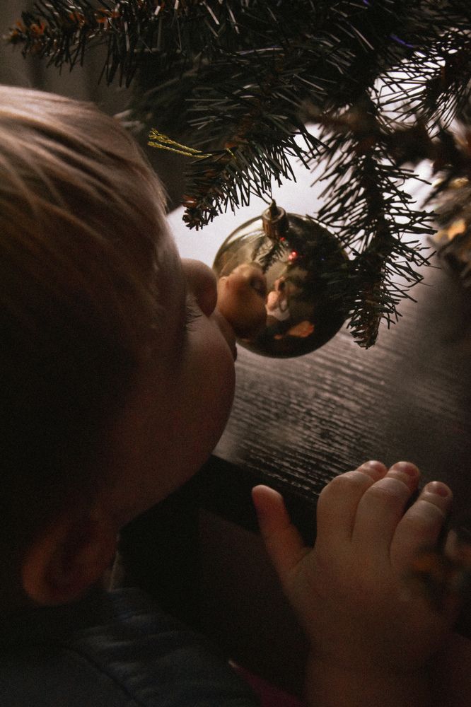 Фотография автора Ксения Вабищевич