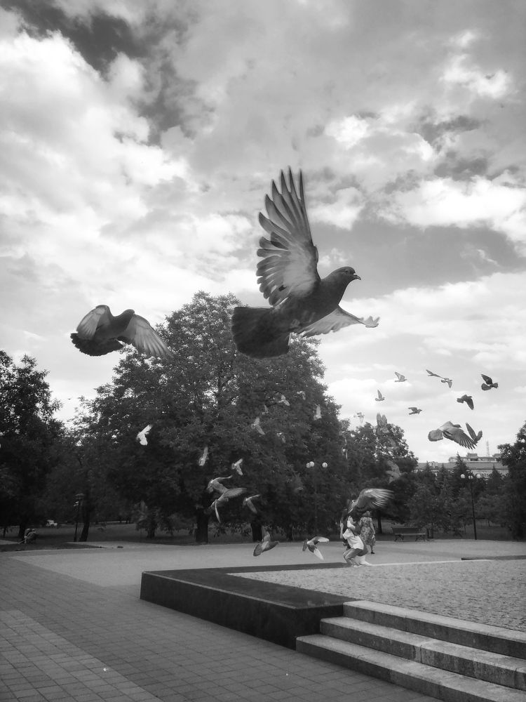 Photograph by Людмила Евстратова