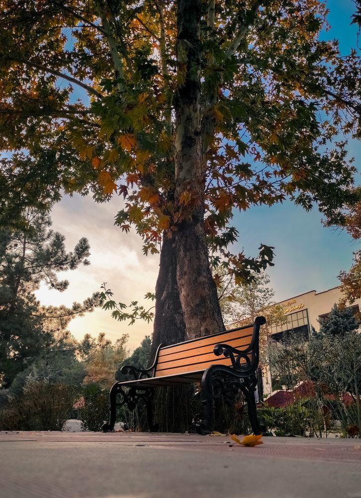 Photograph by Bahare