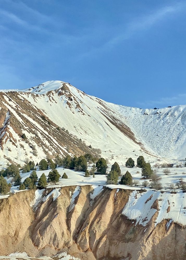 Фотография автора ГУЗАЛИЯ ГАНИЕВА