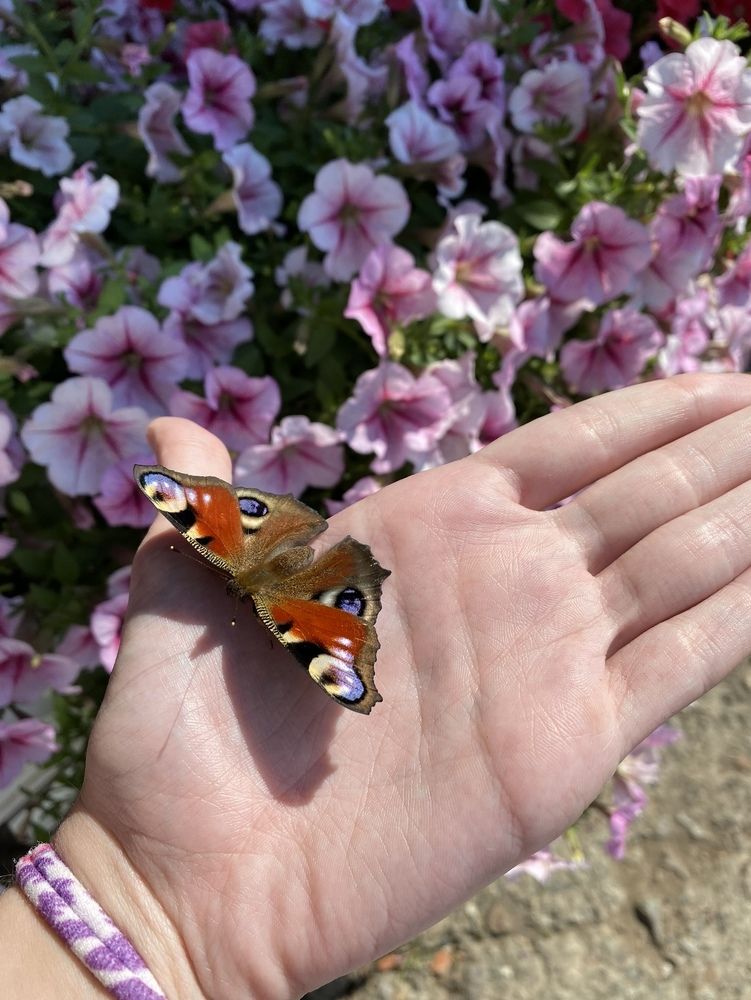 Photograph by Ксения