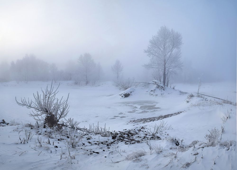 Photograph by Светлана Крат