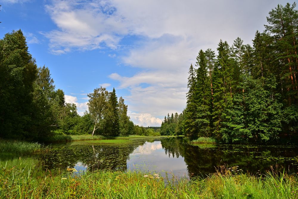 Photograph by Максим Мицун