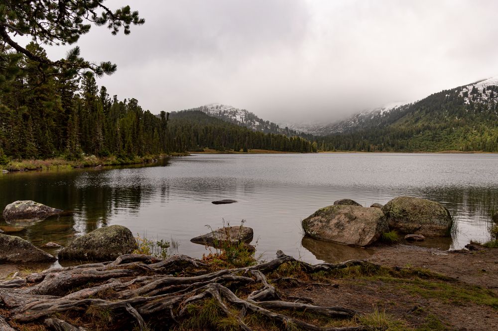 Photograph by Третьяков Александр