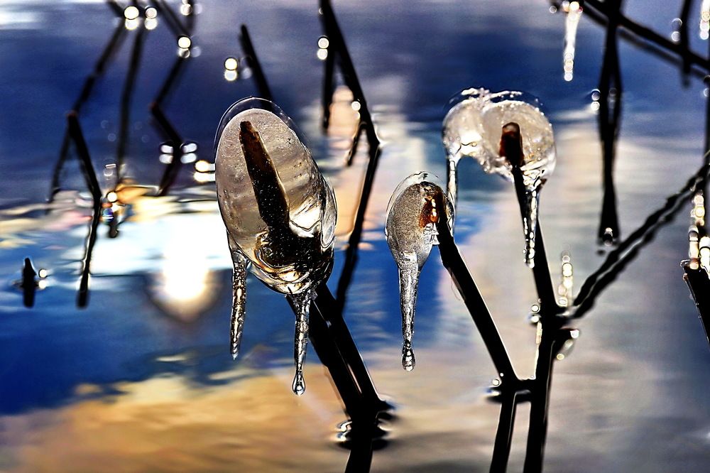 Photograph by 