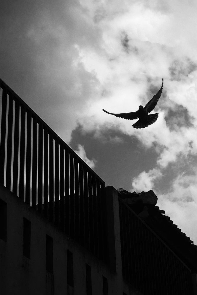 Photograph by Ilham Fajar