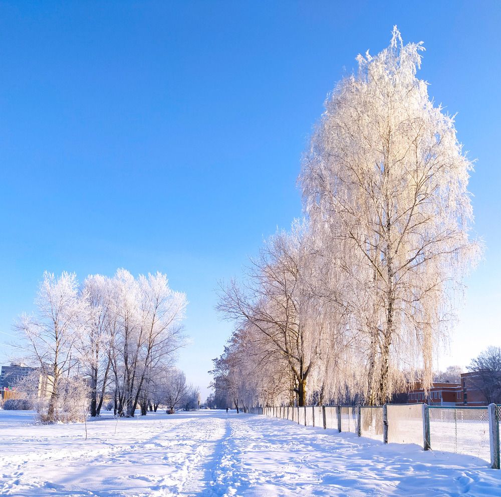 Photograph by Ирина Половцева