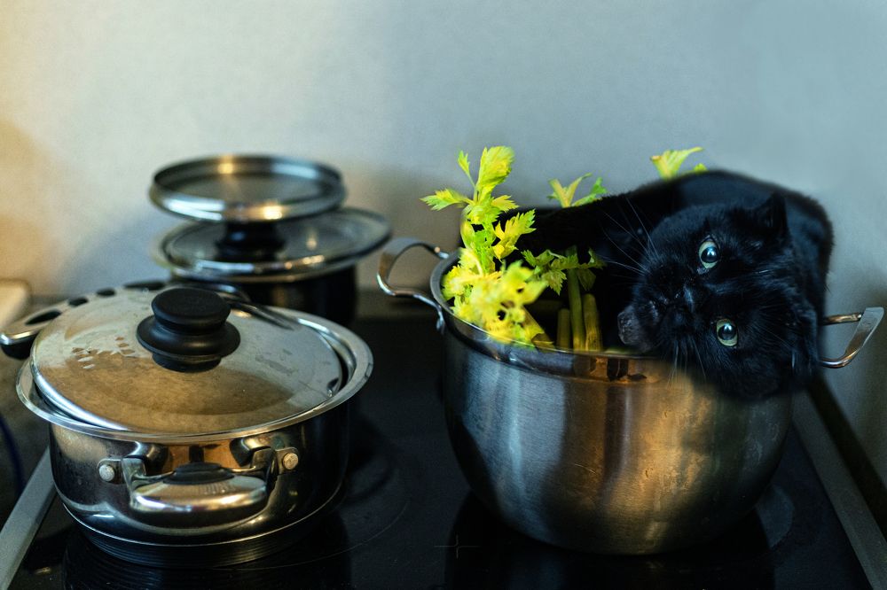 Photograph by Мария Федорова