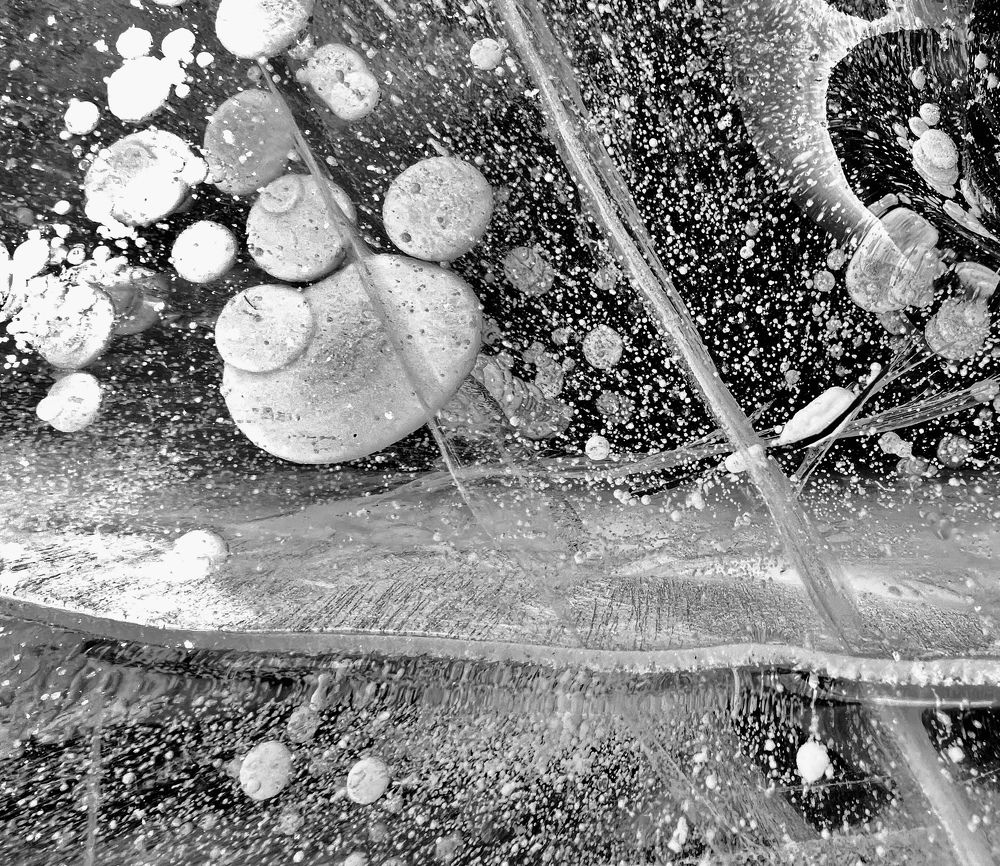 Photograph by Елена Мизина